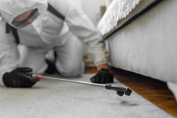 Professional Pest Control technician working in Madison County County, NE